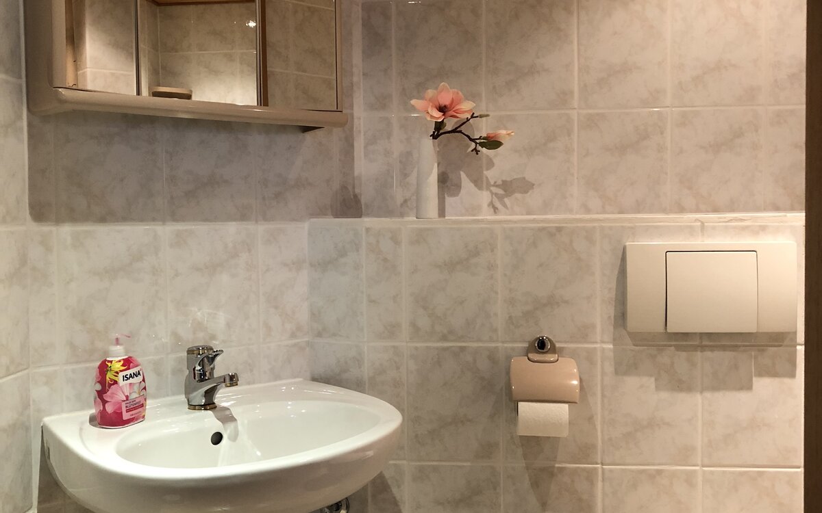 Badezimmer mit Waschbecken und WC